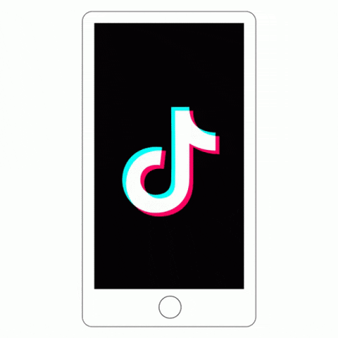 campanhas no tiktok